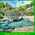 en Italie 90GSM Vente chaude Olive Net